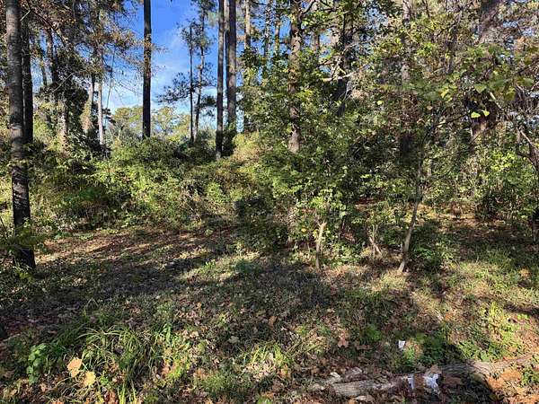 0.32 Acres of Residential Land for Sale in Longview, Texas