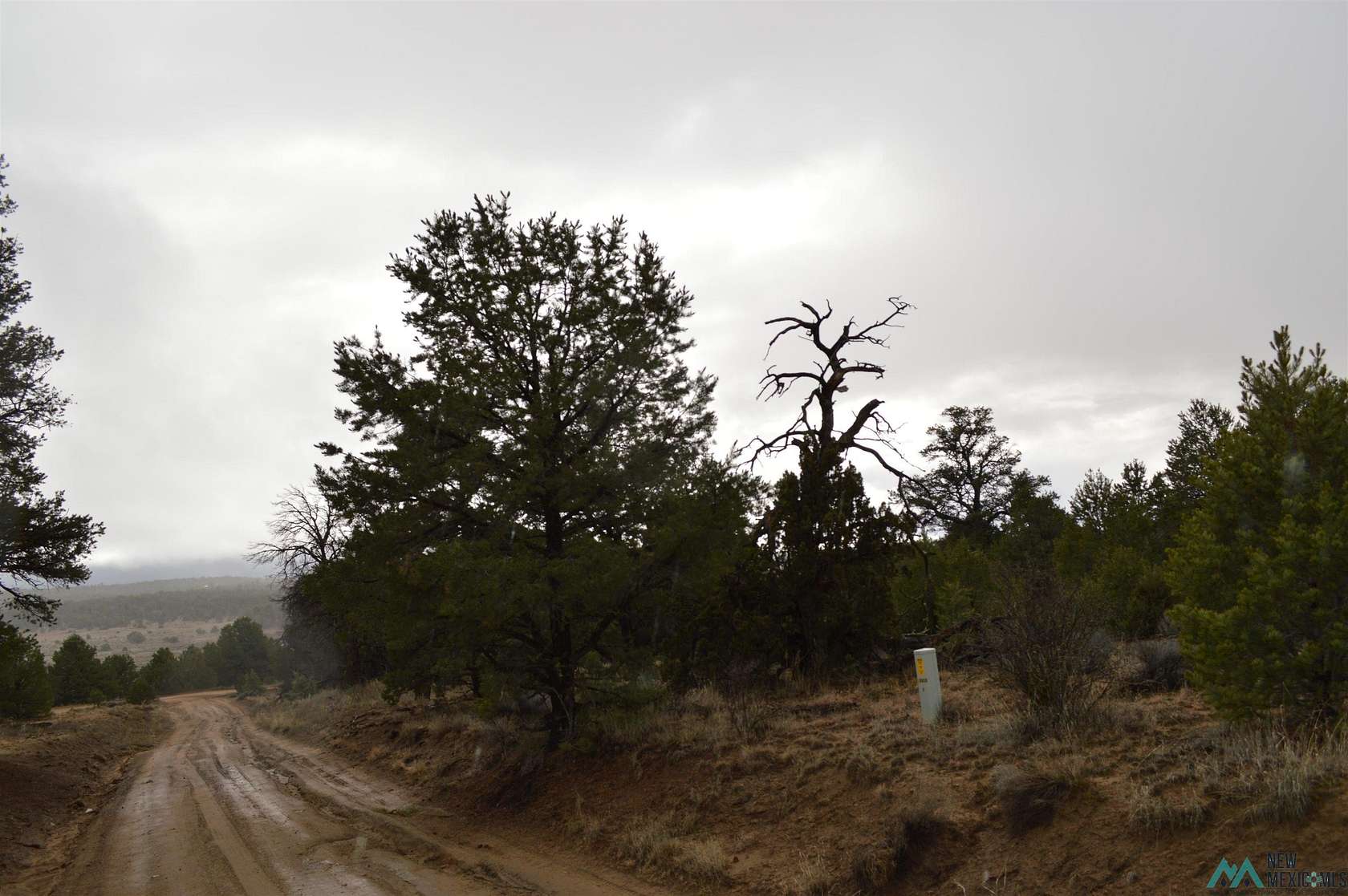 3.2 Acres of Residential Land for Sale in Fence Lake, New Mexico