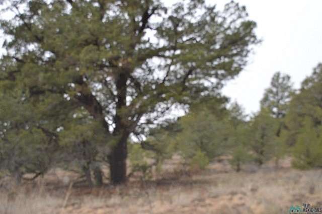 3.2 Acres of Residential Land for Sale in Fence Lake, New Mexico