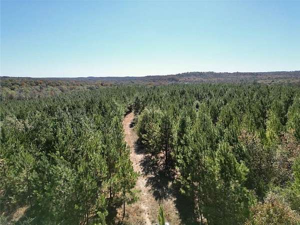 261 Acres of Recreational Land for Sale in Eufaula, Alabama