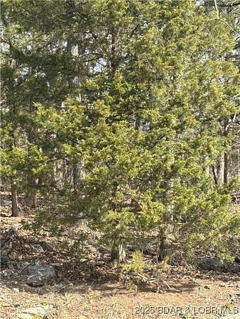 0.24 Acres of Residential Land for Sale in Village of Four Seasons, Missouri