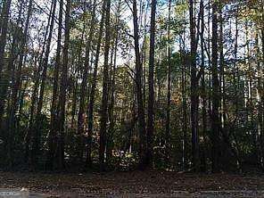 0.5 Acres of Residential Land for Sale in Lithonia, Georgia