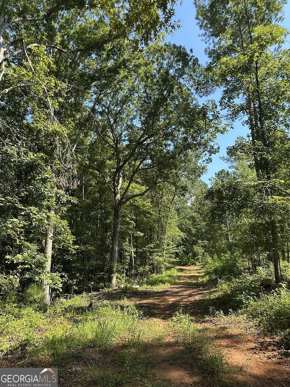 155 Acres of Recreational Land for Sale in Madison, Georgia