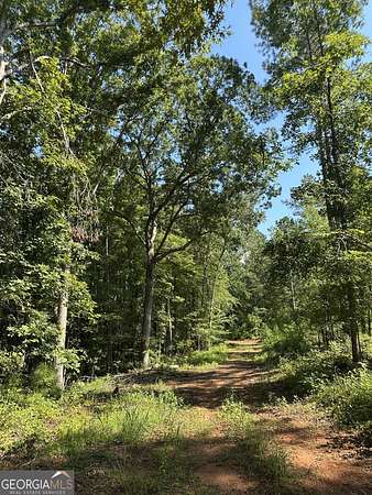 155 Acres of Recreational Land for Sale in Madison, Georgia