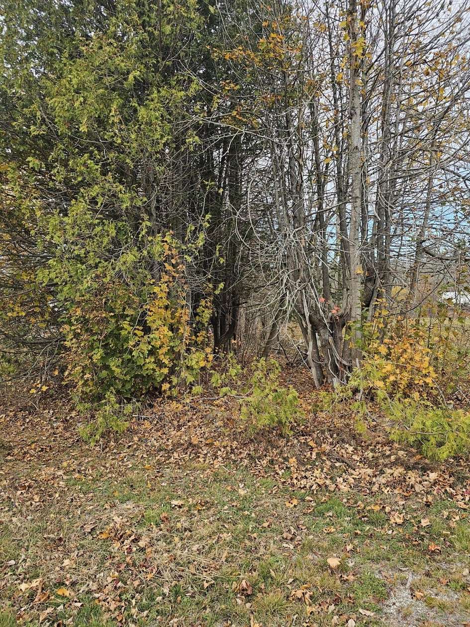 0.25 Acres of Residential Land for Sale in Franklin, Maine