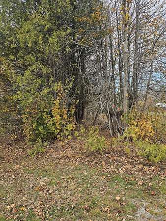 0.25 Acres of Residential Land for Sale in Franklin, Maine