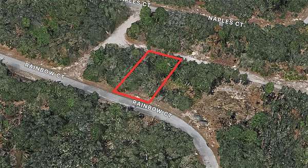 0.16 Acres of Residential Land for Sale in Poinciana, Florida