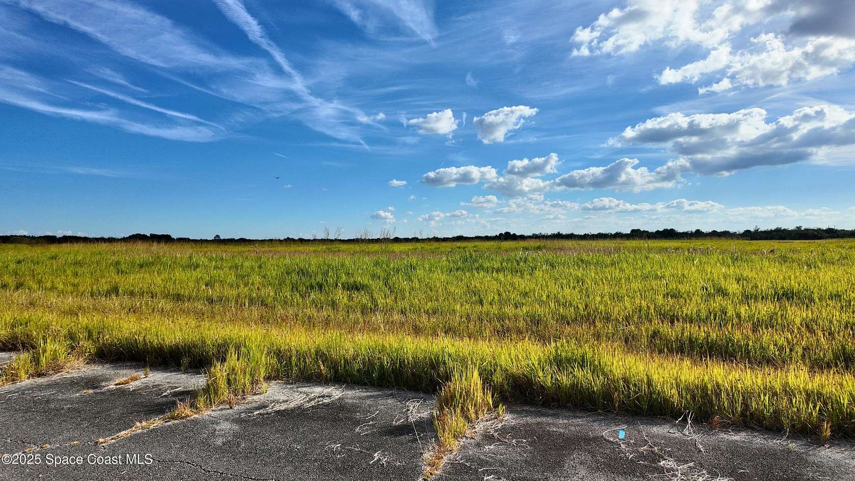 0.23 Acres of Land for Sale in Palm Bay, Florida