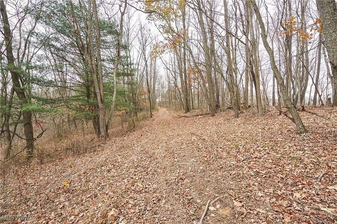 99.3 Acres of Recreational Land with Home for Sale in Jacobsburg, Ohio