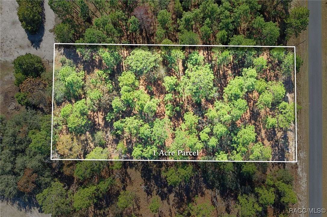 1 Acre of Residential Land for Sale in Dunnellon, Florida
