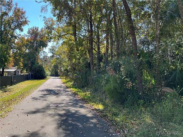 0.36 Acres of Residential Land for Sale in Homosassa, Florida