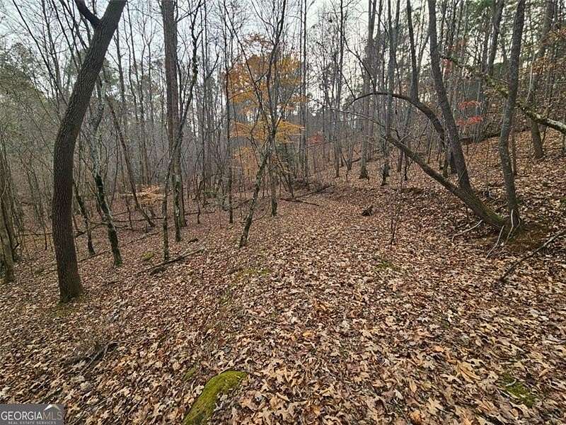 4.39 Acres of Land for Sale in Ellijay, Georgia