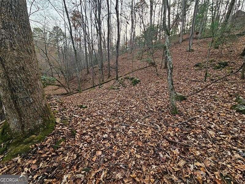 4.39 Acres of Land for Sale in Ellijay, Georgia