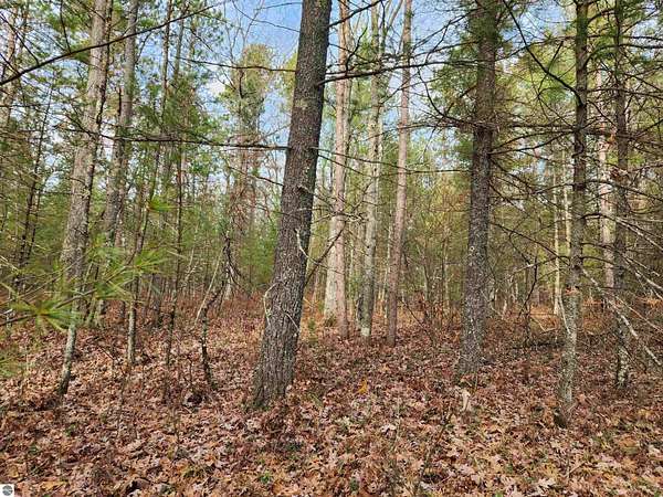 6 Acres of Land for Sale in Interlochen, Michigan