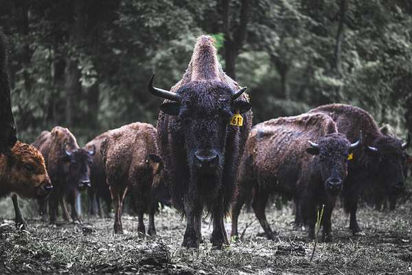 5 Acres of Residential Land with Home for Sale in Joelton, Tennessee