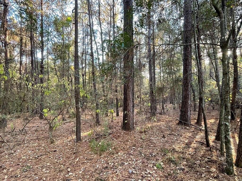15.9 Acres of Land for Sale in Webb, Alabama