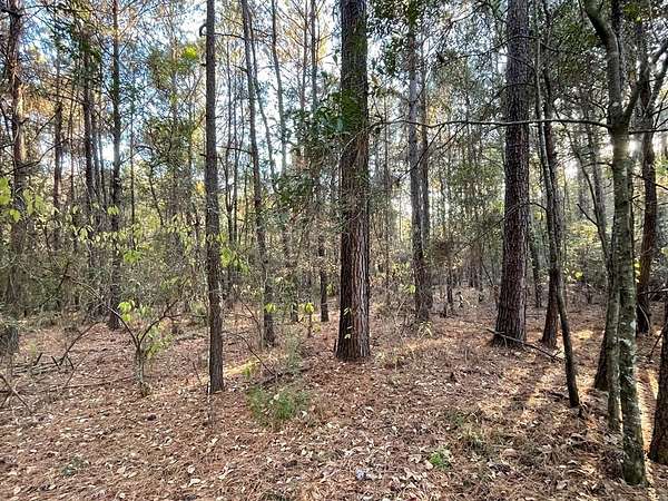 15.9 Acres of Land for Sale in Webb, Alabama