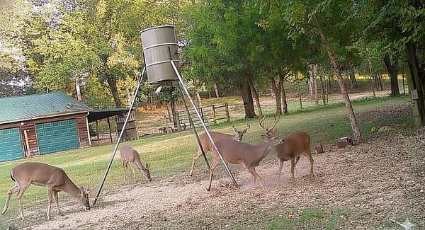 4 Acres of Residential Land with Home for Sale in Tuskahoma, Oklahoma