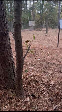 0.12 Acres of Residential Land for Sale in Flint, Texas