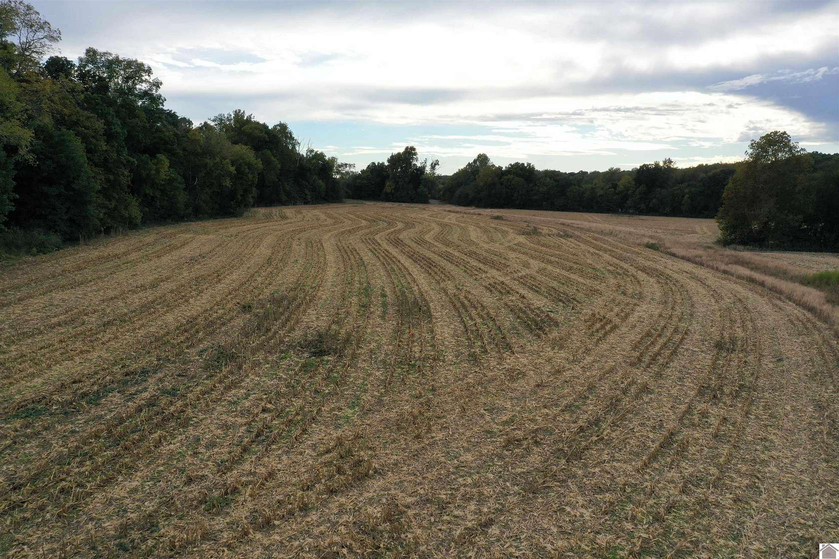 55 Acres of Agricultural Land for Auction in Farmington, Kentucky