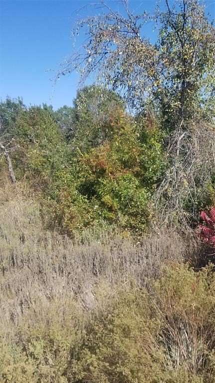 1.25 Acres of Residential Land for Sale in Reno, Texas