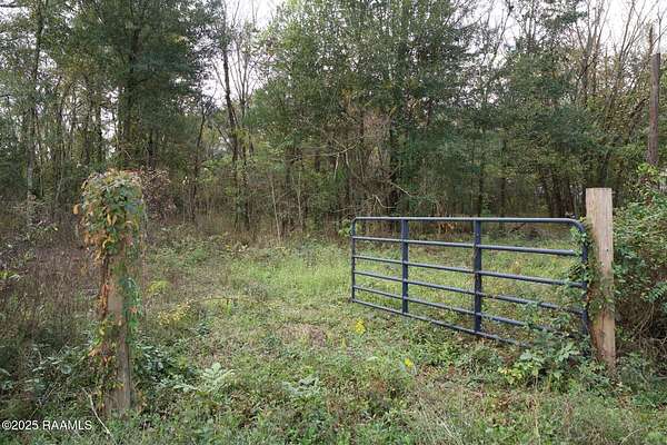 8.89 Acres of Residential Land for Sale in Arnaudville, Louisiana