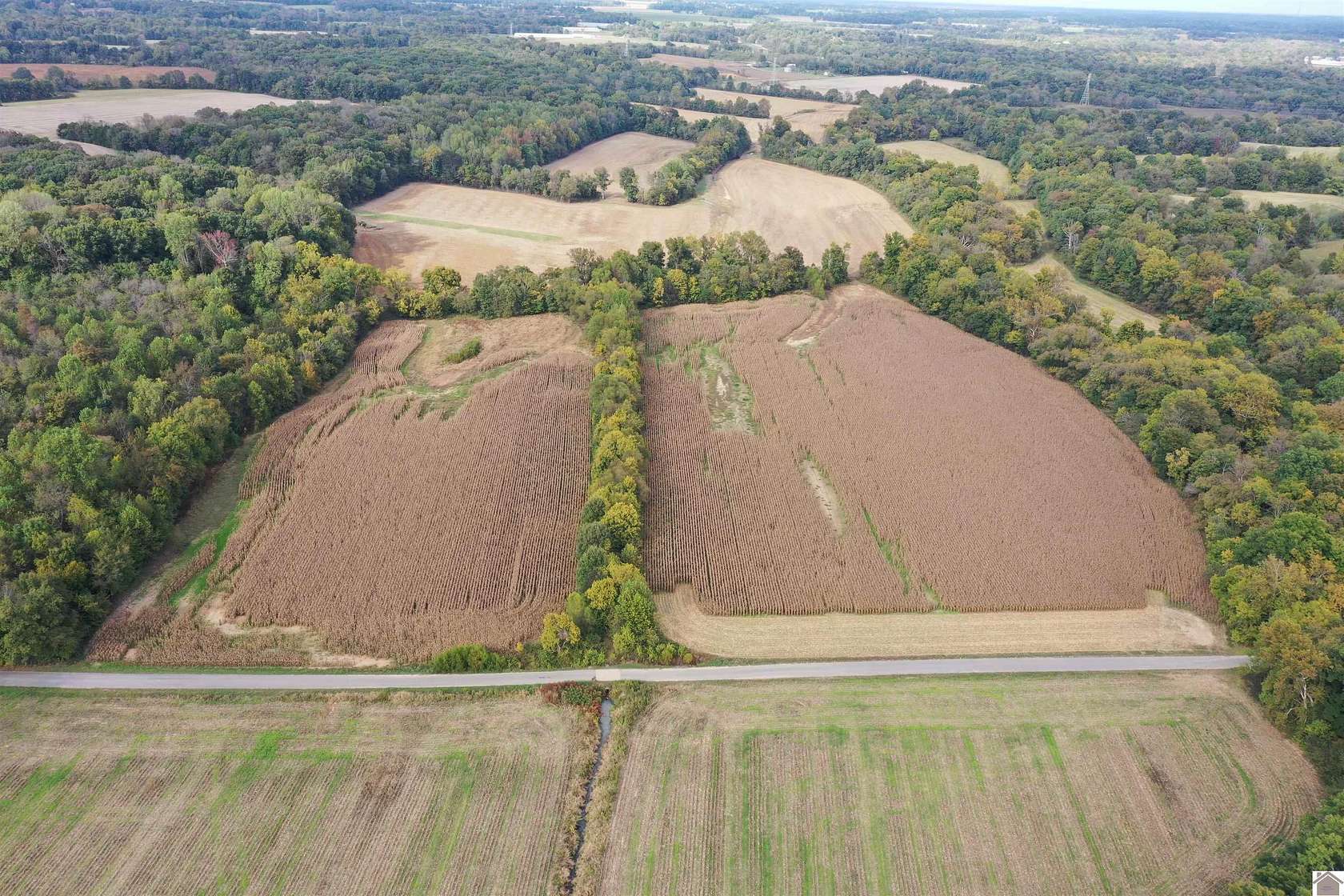 27 Acres of Agricultural Land for Auction in Farmington, Kentucky