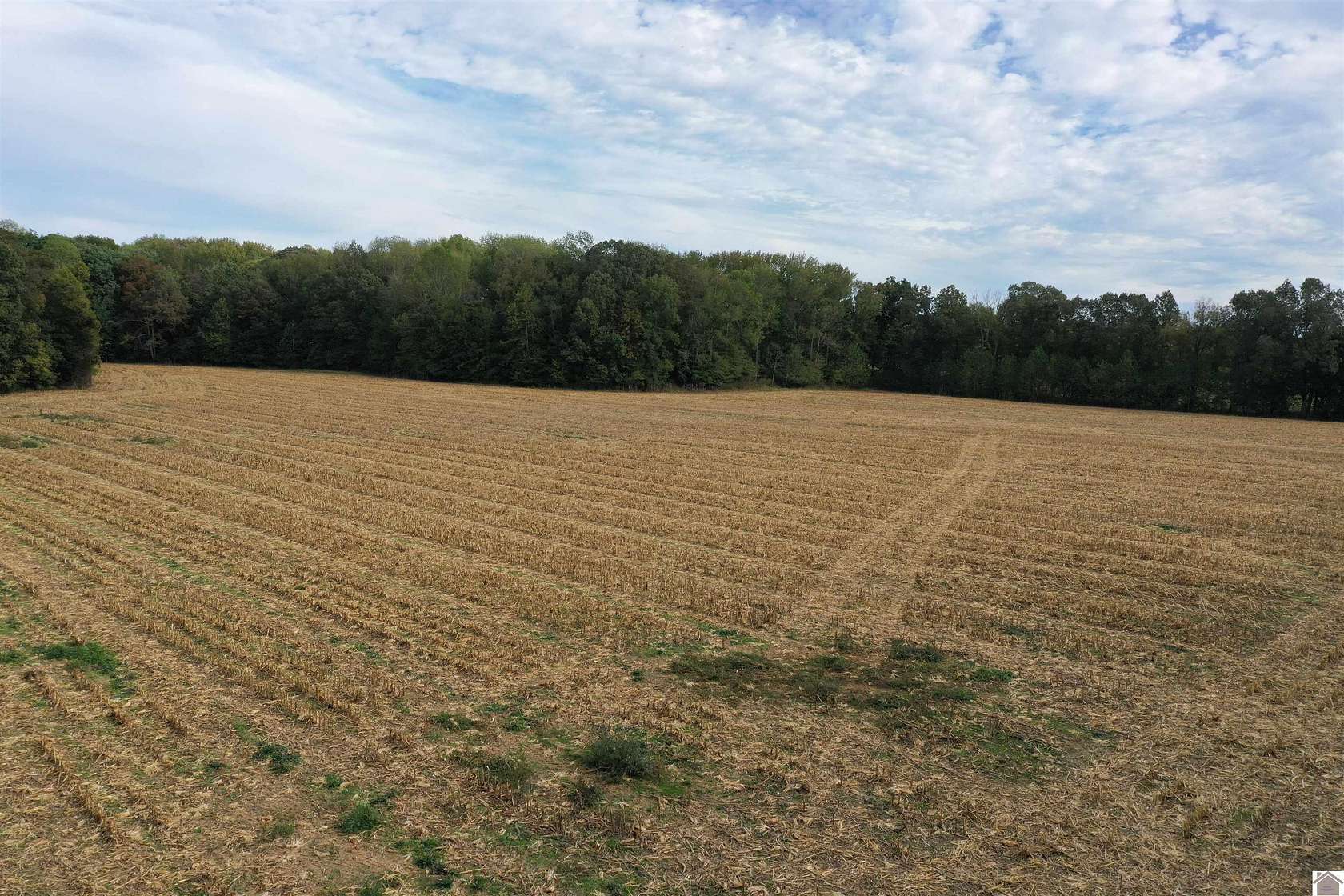 21 Acres of Agricultural Land for Auction in Farmington, Kentucky