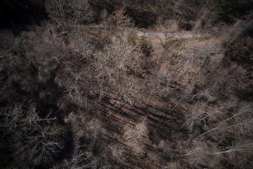 2.62 Acres of Land for Sale in Almond, North Carolina