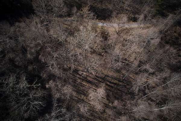 2.62 Acres of Land for Sale in Almond, North Carolina
