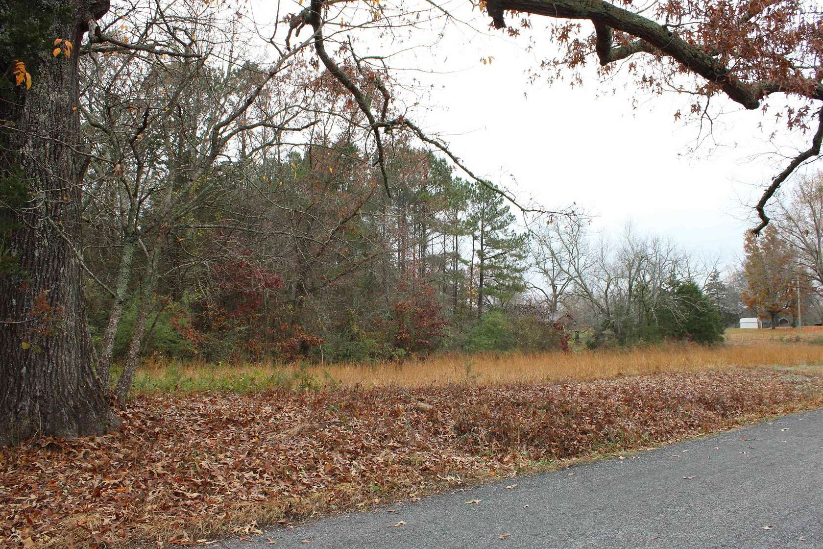 12.2 Acres of Recreational Land for Sale in Quitman, Arkansas