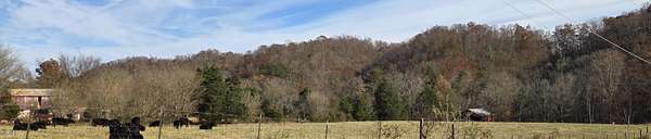 103 Acres of Recreational Land for Sale in Piney Flats, Tennessee
