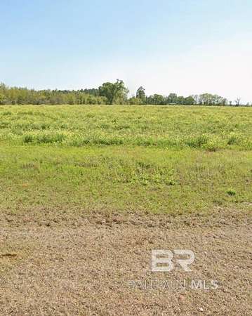 Land for Sale in Brewton, Alabama