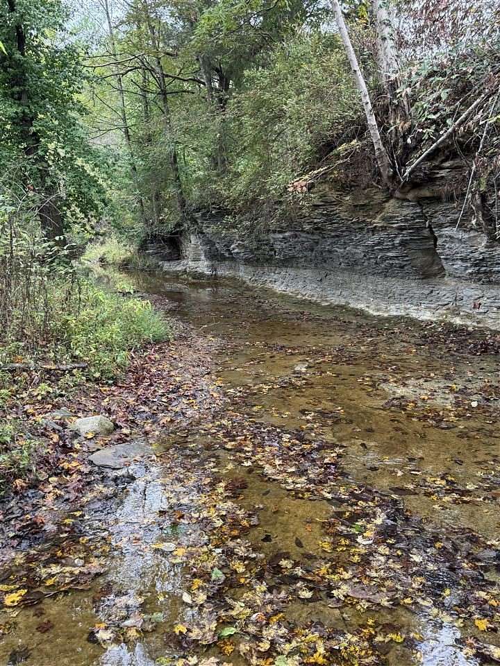 23.4 Acres of Recreational Land for Sale in Greensburg, Kentucky