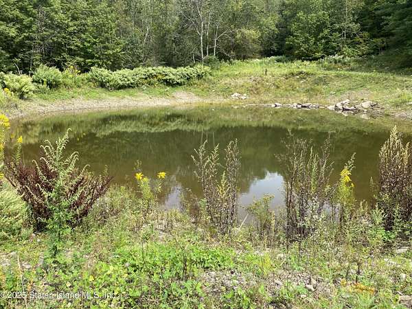 Residential Land for Sale in Hancock, New York