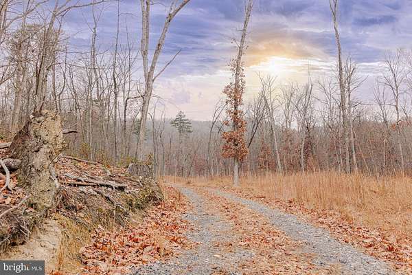 32 Acres of Recreational Land for Sale in Stanley, Virginia