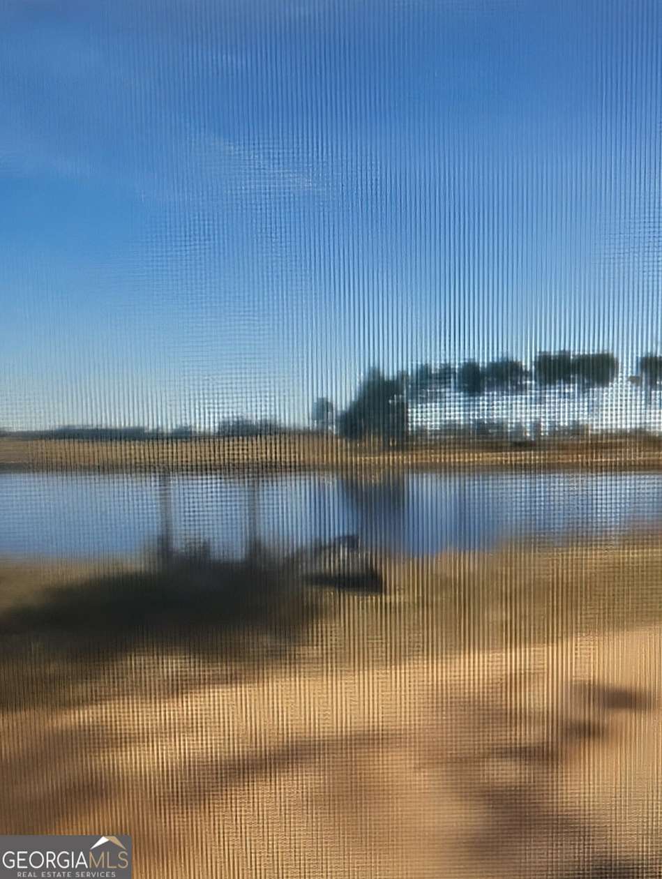 168 Acres of Land for Sale in Adrian, Georgia