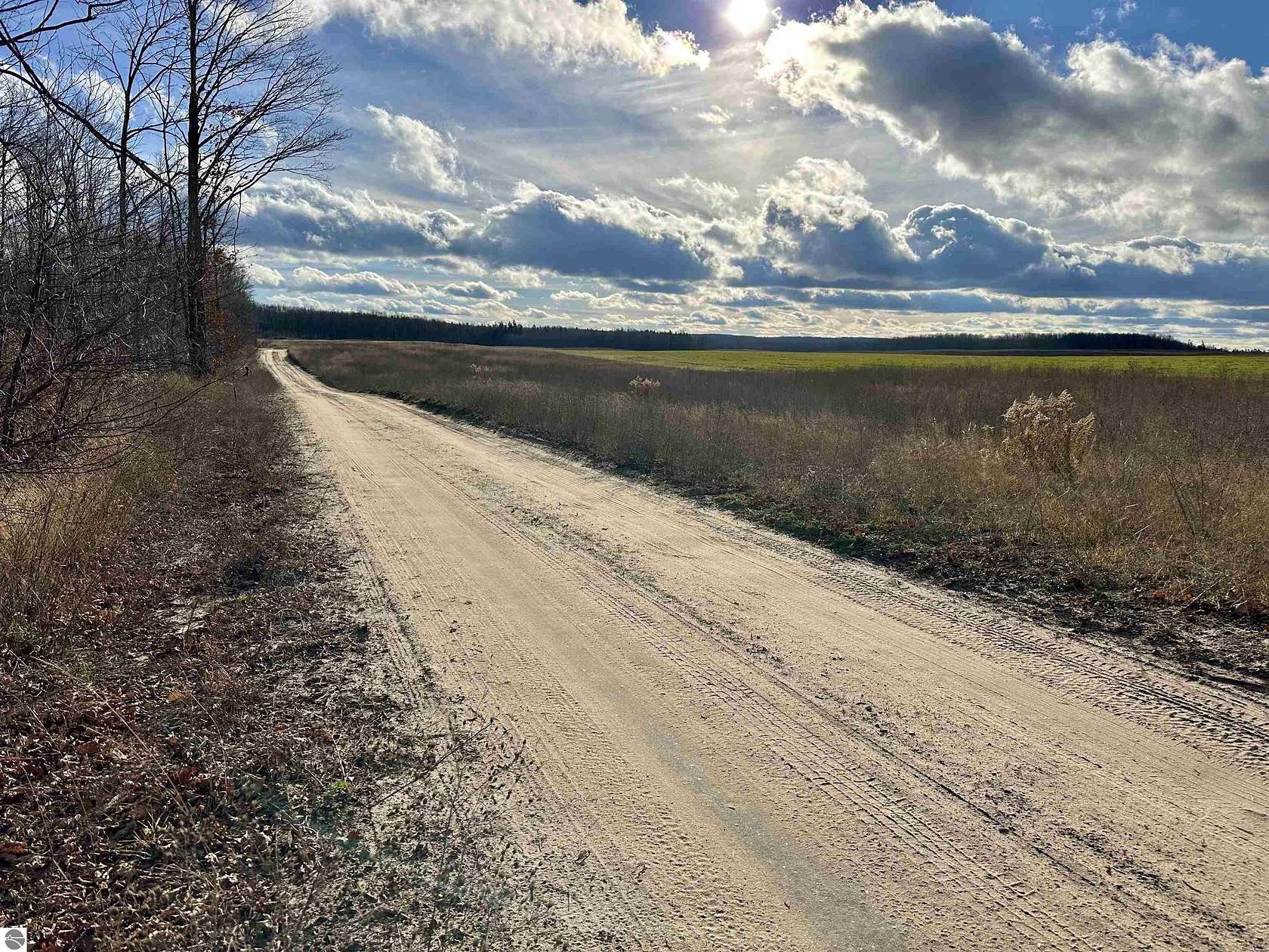 10 Acres of Recreational Land for Sale in Elmira, Michigan