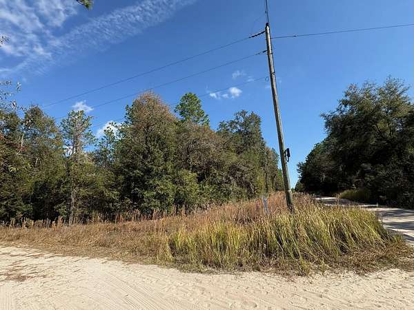 1.25 Acres of Residential Land for Sale in Bronson, Florida