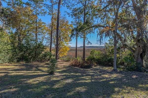 7.1 Acres of Land with Home for Sale in Darien, Georgia