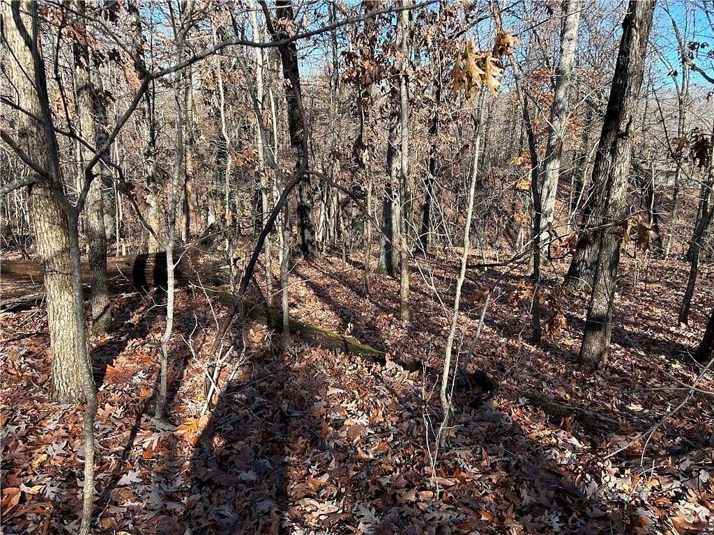 0.24 Acres of Residential Land for Sale in Bella Vista, Arkansas