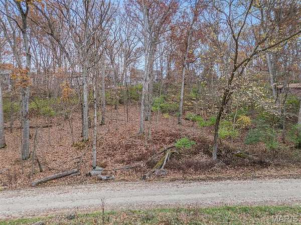 1.35 Acres of Residential Land for Sale in Ballwin, Missouri