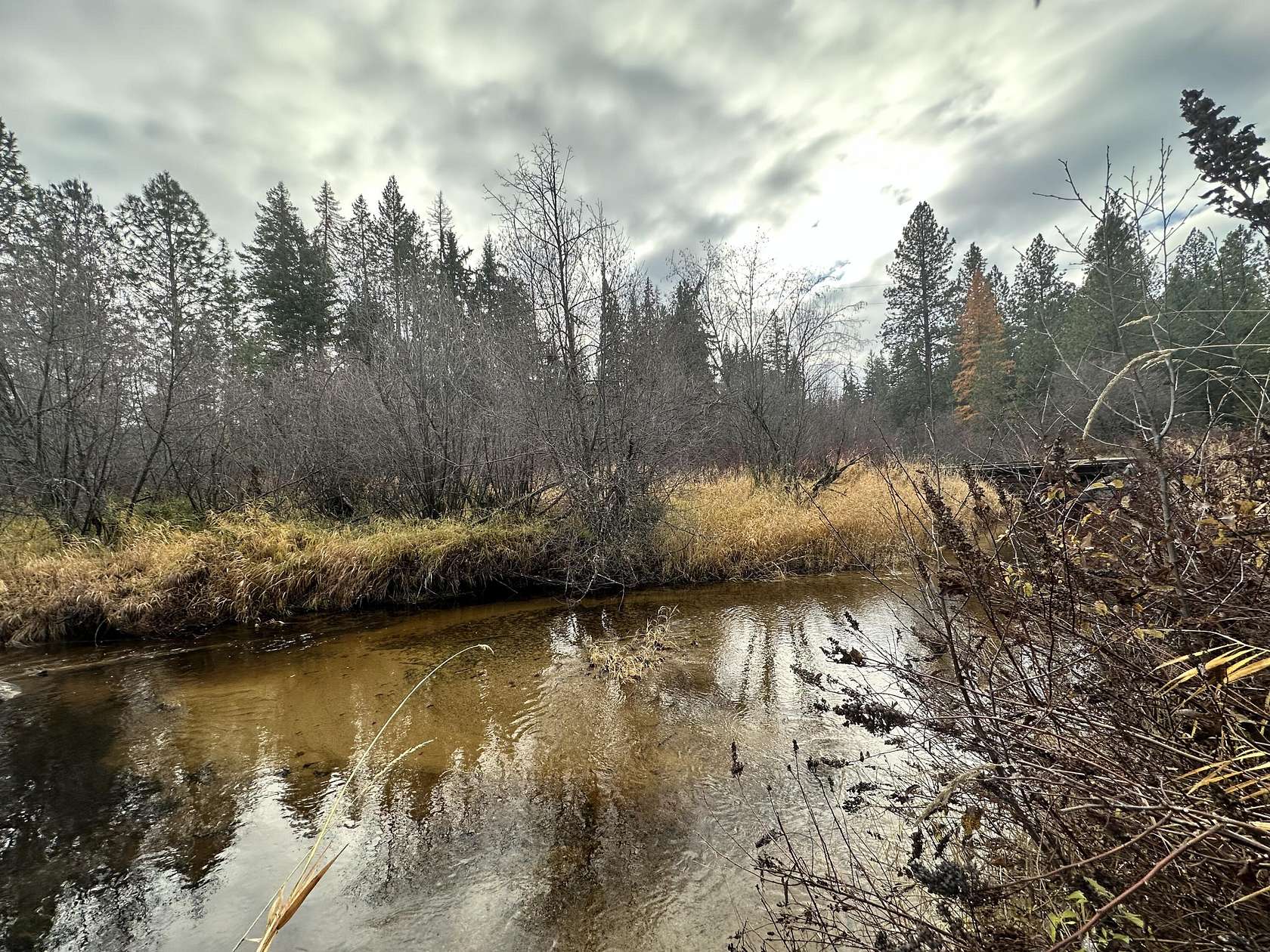 6.1 Acres of Land for Sale in Colville, Washington