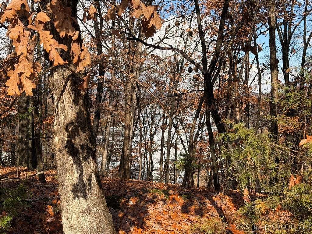 0.36 Acres of Land for Sale in Village of Four Seasons, Missouri