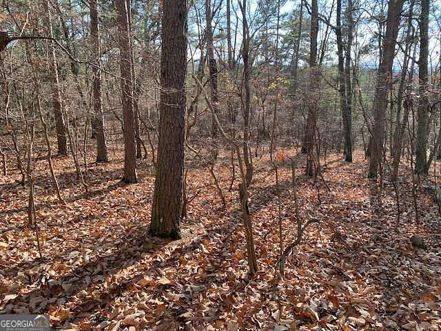 1.63 Acres of Residential Land for Sale in Jasper, Georgia