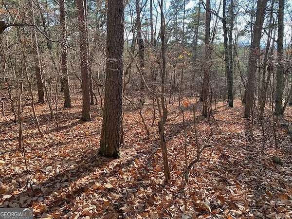 1.63 Acres of Residential Land for Sale in Jasper, Georgia