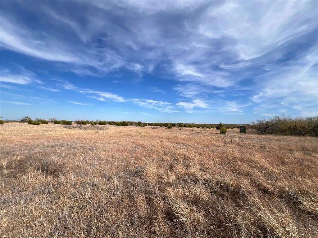 25 Acres of Land for Sale in Santa Anna, Texas