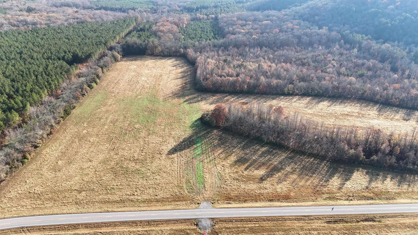 40 Acres of Land for Sale in Cleveland, Arkansas
