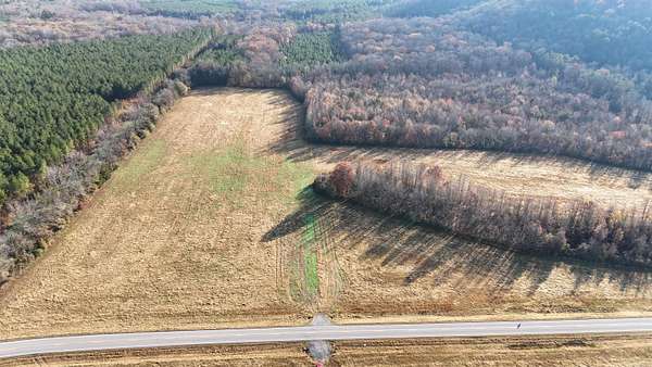 40 Acres of Recreational Land & Farm for Sale in Cleveland, Arkansas