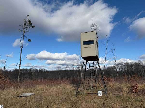 40 Acres of Recreational Land & Farm for Sale in Kalkaska, Michigan